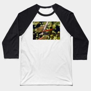 Red-Tailed Pennant Dragonfly Baseball T-Shirt